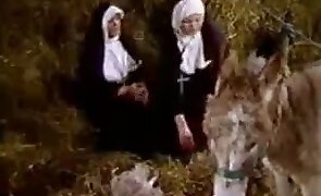 beastiality porn, hentai zoophilia