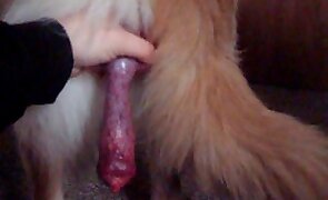 girl fucks animal, animal fuck porn