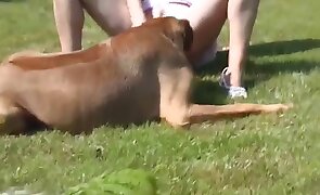 dog sex, animal fucking