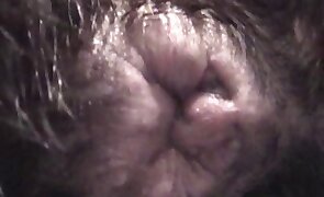 dog sex, porn with animals