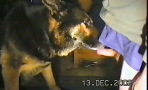 animal fuck porn, woman and animal