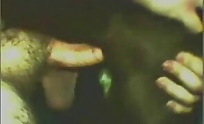 sex with animals, dog sex