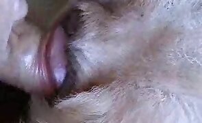 RICO win paga - dog sex, animal fucking