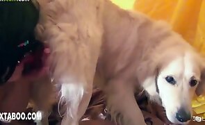 girl fucks animal, zoo fuck videos